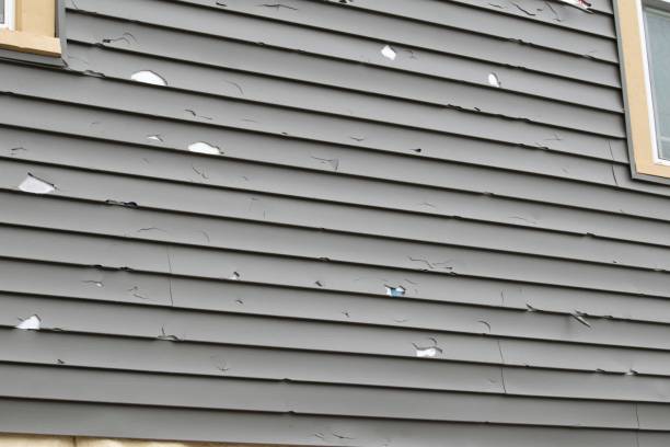 How To Choose The Right Materials for Your Siding Installation in 'Eagle Butte, SD